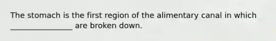 The stomach is the first region of the alimentary canal in which ________________ are broken down.