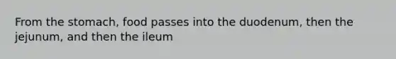 From <a href='https://www.questionai.com/knowledge/kLccSGjkt8-the-stomach' class='anchor-knowledge'>the stomach</a>, food passes into the duodenum, then the jejunum, and then the ileum