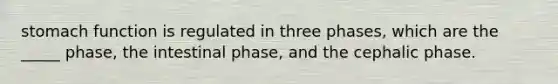 stomach function is regulated in three phases, which are the _____ phase, the intestinal phase, and the cephalic phase.