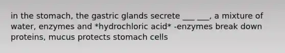 in the stomach, the gastric glands secrete ___ ___, a mixture of water, enzymes and *hydrochloric acid* -enzymes break down proteins, mucus protects stomach cells