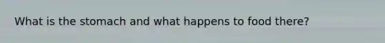 What is <a href='https://www.questionai.com/knowledge/kLccSGjkt8-the-stomach' class='anchor-knowledge'>the stomach</a> and what happens to food there?