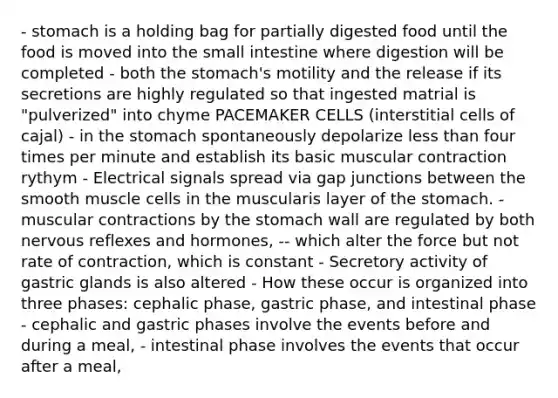 - stomach is a holding bag for partially digested food until the food is moved into the small intestine where digestion will be completed - both the stomach's motility and the release if its secretions are highly regulated so that ingested matrial is "pulverized" into chyme PACEMAKER CELLS (interstitial cells of cajal) - in the stomach spontaneously depolarize less than four times per minute and establish its basic muscular contraction rythym - Electrical signals spread via gap junctions between the smooth muscle cells in the muscularis layer of the stomach. - muscular contractions by the stomach wall are regulated by both nervous reflexes and hormones, -- which alter the force but not rate of contraction, which is constant - Secretory activity of gastric glands is also altered - How these occur is organized into three phases: cephalic phase, gastric phase, and intestinal phase - cephalic and gastric phases involve the events before and during a meal, - intestinal phase involves the events that occur after a meal,