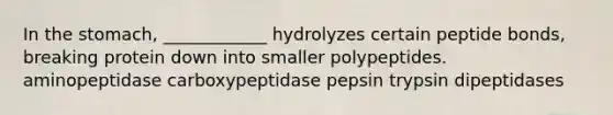 In the stomach, ____________ hydrolyzes certain peptide bonds, breaking protein down into smaller polypeptides. aminopeptidase carboxypeptidase pepsin trypsin dipeptidases