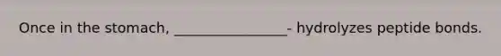 Once in the stomach, ________________- hydrolyzes peptide bonds.