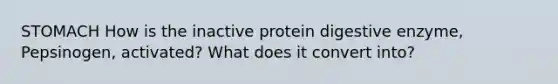 STOMACH How is the inactive protein digestive enzyme, Pepsinogen, activated? What does it convert into?