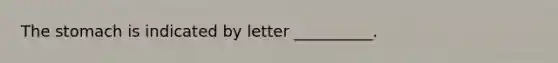 The stomach is indicated by letter __________.