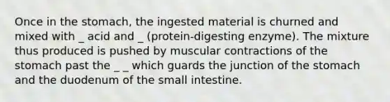 Once in the stomach, the ingested material is churned and mixed with _ acid and _ (protein-digesting enzyme). The mixture thus produced is pushed by muscular contractions of the stomach past the _ _ which guards the junction of the stomach and the duodenum of the small intestine.