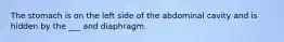 The stomach is on the left side of the abdominal cavity and is hidden by the ___ and diaphragm.