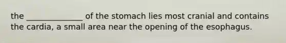 the ______________ of the stomach lies most cranial and contains the cardia, a small area near the opening of the esophagus.