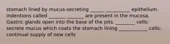 stomach lined by mucus-secreting ______ __________ epithelium. indentions called _______ _______ are present in the mucosa. Gastric glands open into the base of the pits. ________ cells: secrete mucus which coats the stomach lining ____________ cells: continual supply of new cells