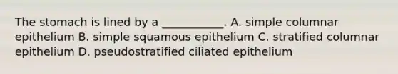 The stomach is lined by a ___________. A. simple columnar epithelium B. simple squamous epithelium C. stratified columnar epithelium D. pseudostratified ciliated epithelium