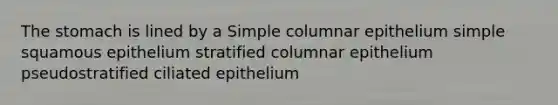 The stomach is lined by a Simple columnar epithelium simple squamous epithelium stratified columnar epithelium pseudostratified ciliated epithelium