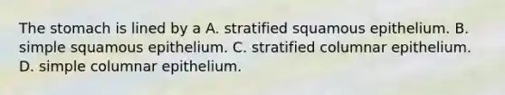 The stomach is lined by a A. stratified squamous epithelium. B. simple squamous epithelium. C. stratified columnar epithelium. D. simple columnar epithelium.