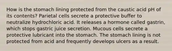 How is <a href='https://www.questionai.com/knowledge/kLccSGjkt8-the-stomach' class='anchor-knowledge'>the stomach</a> lining protected from the caustic acid pH of its contents? Parietal cells secrete a protective buffer to neutralize hydrochloric acid. It releases a hormone called gastrin, which stops gastric juice secretion. Mucous cells secrete a protective lubricant into the stomach. The stomach lining is not protected from acid and frequently develops ulcers as a result.