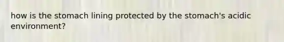 how is the stomach lining protected by the stomach's acidic environment?