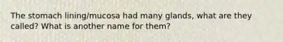 The stomach lining/mucosa had many glands, what are they called? What is another name for them?