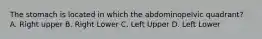 The stomach is located in which the abdominopelvic quadrant? A. Right upper B. Right Lower C. Left Upper D. Left Lower
