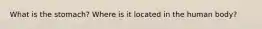 What is the stomach? Where is it located in the human body?