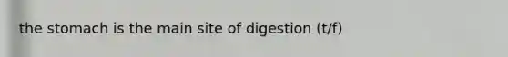 the stomach is the main site of digestion (t/f)