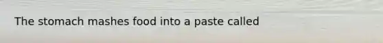 The stomach mashes food into a paste called