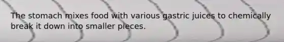 The stomach mixes food with various gastric juices to chemically break it down into smaller pieces.