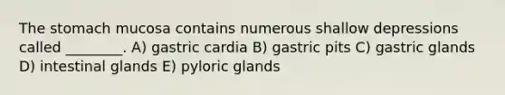 <a href='https://www.questionai.com/knowledge/kLccSGjkt8-the-stomach' class='anchor-knowledge'>the stomach</a> mucosa contains numerous shallow depressions called ________. A) gastric cardia B) gastric pits C) gastric glands D) intestinal glands E) pyloric glands