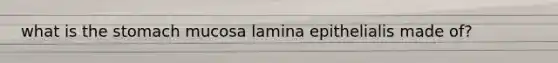 what is the stomach mucosa lamina epithelialis made of?