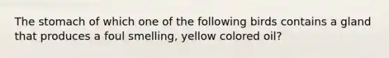 The stomach of which one of the following birds contains a gland that produces a foul smelling, yellow colored oil?