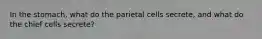 In the stomach, what do the parietal cells secrete, and what do the chief cells secrete?