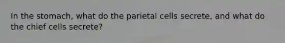 In the stomach, what do the parietal cells secrete, and what do the chief cells secrete?