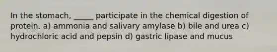 In the stomach, _____ participate in the chemical digestion of protein. a) ammonia and salivary amylase b) bile and urea c) hydrochloric acid and pepsin d) gastric lipase and mucus