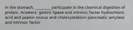 In the stomach, ________ participate in the chemical digestion of protein. Answers: gastric lipase and intrinsic factor hydrochloric acid and pepsin mucus and cholecystokinin pancreatic amylase and intrinsic factor