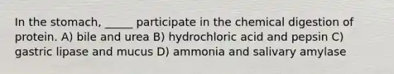 In the stomach, _____ participate in the chemical digestion of protein. A) bile and urea B) hydrochloric acid and pepsin C) gastric lipase and mucus D) ammonia and salivary amylase