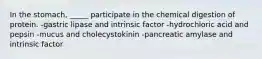 In the stomach, _____ participate in the chemical digestion of protein. -gastric lipase and intrinsic factor -hydrochloric acid and pepsin -mucus and cholecystokinin -pancreatic amylase and intrinsic factor