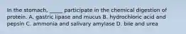 In the stomach, _____ participate in the chemical digestion of protein. A. gastric lipase and mucus B. hydrochloric acid and pepsin C. ammonia and salivary amylase D. bile and urea