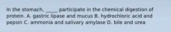 In the stomach, _____ participate in the chemical digestion of protein. A. gastric lipase and mucus B. hydrochloric acid and pepsin C. ammonia and salivary amylase D. bile and urea