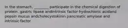 In the stomach, ________ participate in the chemical digestion of protein. gastric lipase andintrinsic factor hydrochloric acidand pepsin mucus andcholecystokinin pancreatic amylase and intrinsic factor