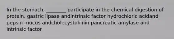 In the stomach, ________ participate in the chemical digestion of protein. gastric lipase andintrinsic factor hydrochloric acidand pepsin mucus andcholecystokinin pancreatic amylase and intrinsic factor