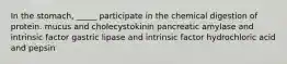 In the stomach, _____ participate in the chemical digestion of protein. mucus and cholecystokinin pancreatic amylase and intrinsic factor gastric lipase and intrinsic factor hydrochloric acid and pepsin