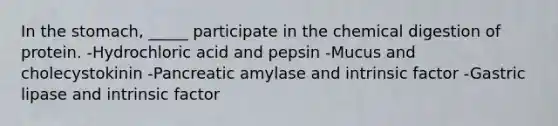 In the stomach, _____ participate in the chemical digestion of protein. -Hydrochloric acid and pepsin -Mucus and cholecystokinin -Pancreatic amylase and intrinsic factor -Gastric lipase and intrinsic factor