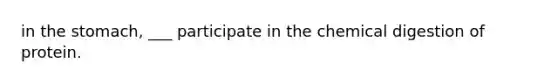 in the stomach, ___ participate in the chemical digestion of protein.