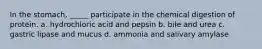 In the stomach, _____ participate in the chemical digestion of protein. a. hydrochloric acid and pepsin b. bile and urea c. gastric lipase and mucus d. ammonia and salivary amylase