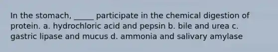 In the stomach, _____ participate in the chemical digestion of protein. a. hydrochloric acid and pepsin b. bile and urea c. gastric lipase and mucus d. ammonia and salivary amylase