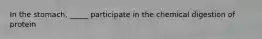 In the stomach, _____ participate in the chemical digestion of protein