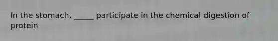 In the stomach, _____ participate in the chemical digestion of protein
