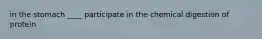 in the stomach ____ participate in the chemical digestion of protein