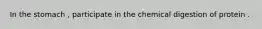 In the stomach , participate in the chemical digestion of protein .