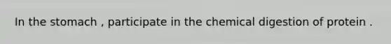 In the stomach , participate in the chemical digestion of protein .