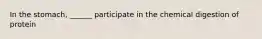In the stomach, ______ participate in the chemical digestion of protein