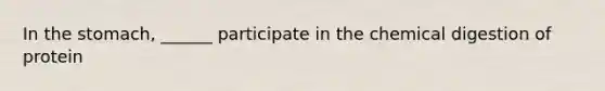 In the stomach, ______ participate in the chemical digestion of protein